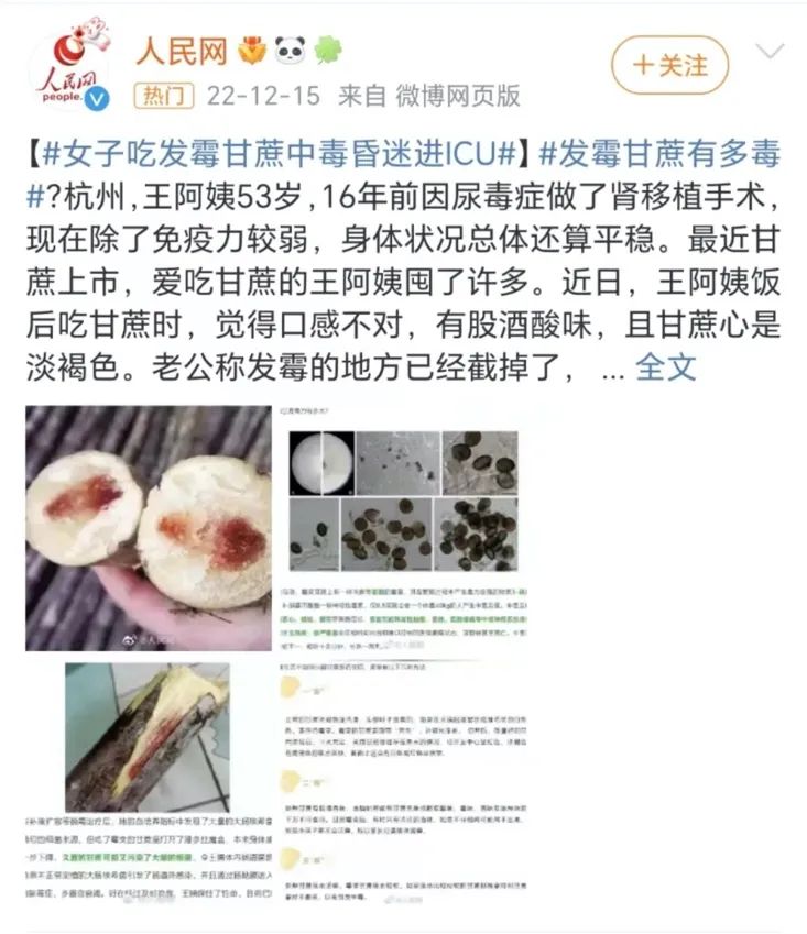 一根甘蔗吃进ICU！这样的甘蔗固安人千万别吃，严重致死9929 作者:小峰峰9299 帖子ID:275185 一根,甘蔗,吃进,这样,固安人